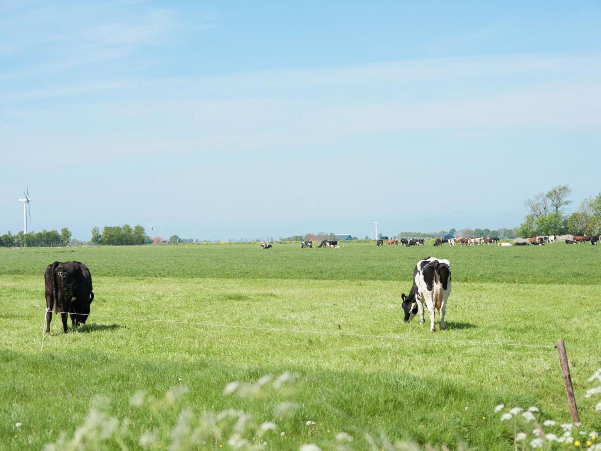 Charming House In Easterlittens On A Frisian Farm Wommels Exterior photo